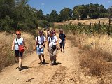 1204 Discesa a piedi dal monte delle beatitudini